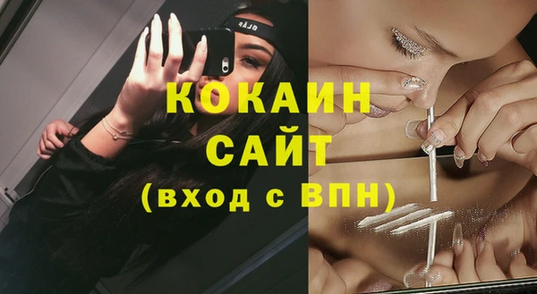 PSILOCYBIN Лиски