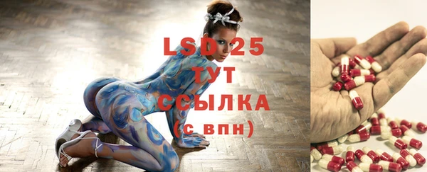 PSILOCYBIN Лиски