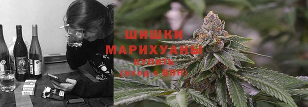 PSILOCYBIN Лиски
