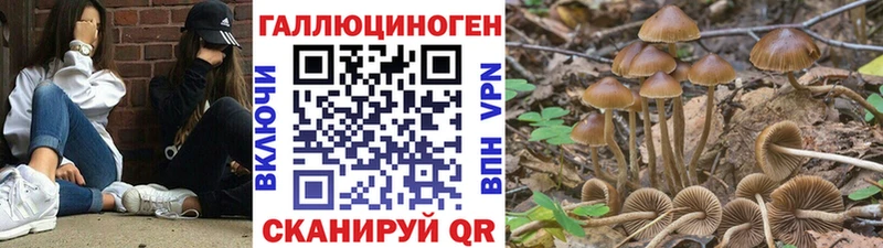 Псилоцибиновые грибы ЛСД  магазин  наркотиков  Сухой Лог 
