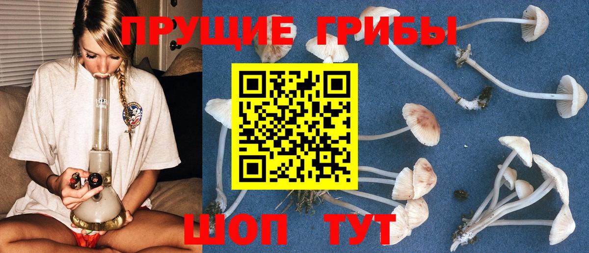 цена наркотик  Вход с VPN  Сухой Лог  Псилоцибиновые грибы мухоморы 