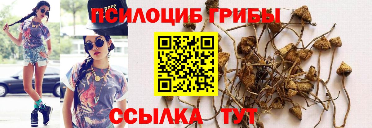 Галлюциногенные грибы прущие грибы Сухой Лог